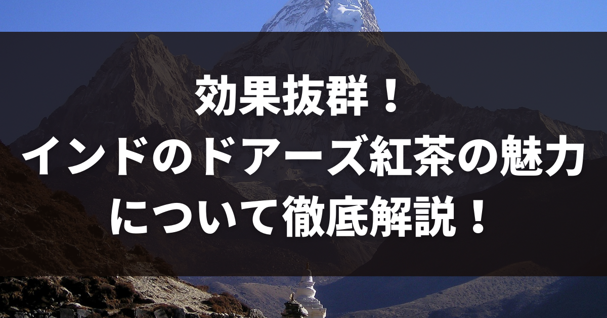 効果抜群！インドのドアーズ紅茶の魅力について徹底解説！